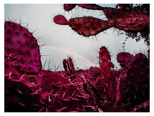 PHOTOPRINT