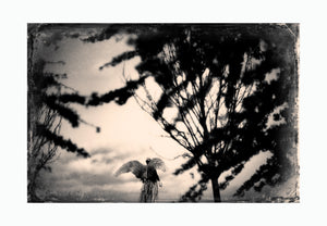 PHOTOPRINT