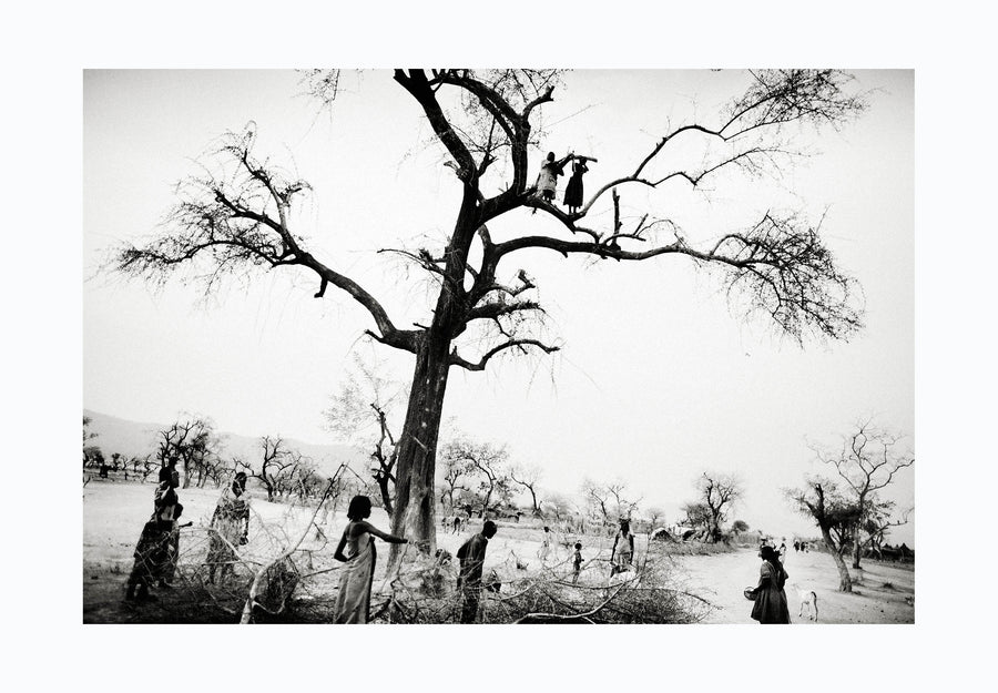 PHOTOPRINT