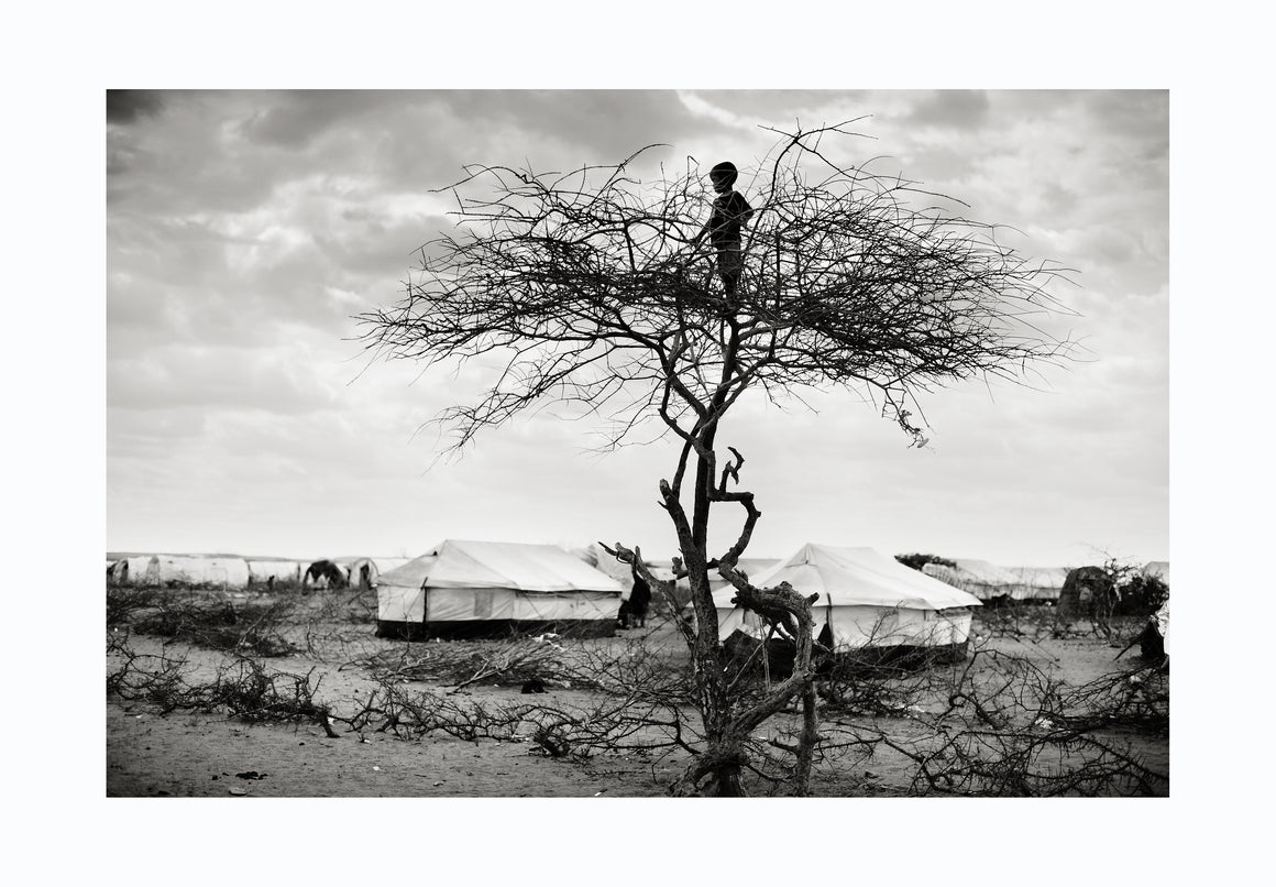 Boy in tree, Somalia 2010 - Photographic print, stamped and signed by Jan Grarup. Printet on Baryta Fine Art 325 gram paper in A2 (59,4 x 42cm)